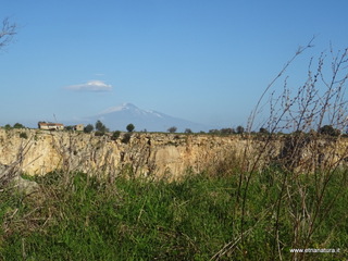 traro-30-12-2021 10-32-22